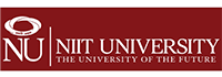 NIIT University